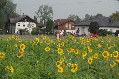 20 Hauptlauf-60