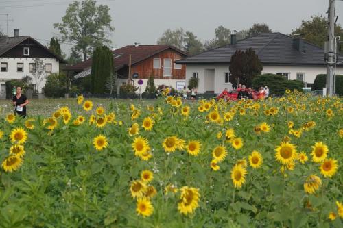 20 Hauptlauf-81