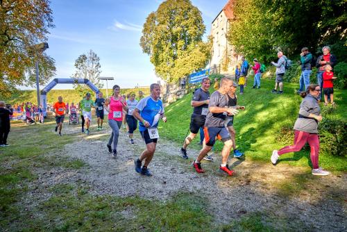 Schlösser Lauf 2021, Lauf