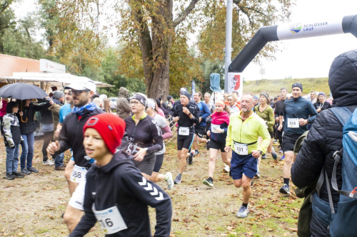 2025 Start-Hauptlauf-13