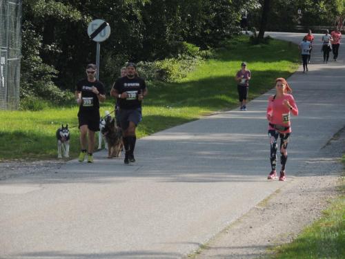 Drei Schlösser Lauf 2019